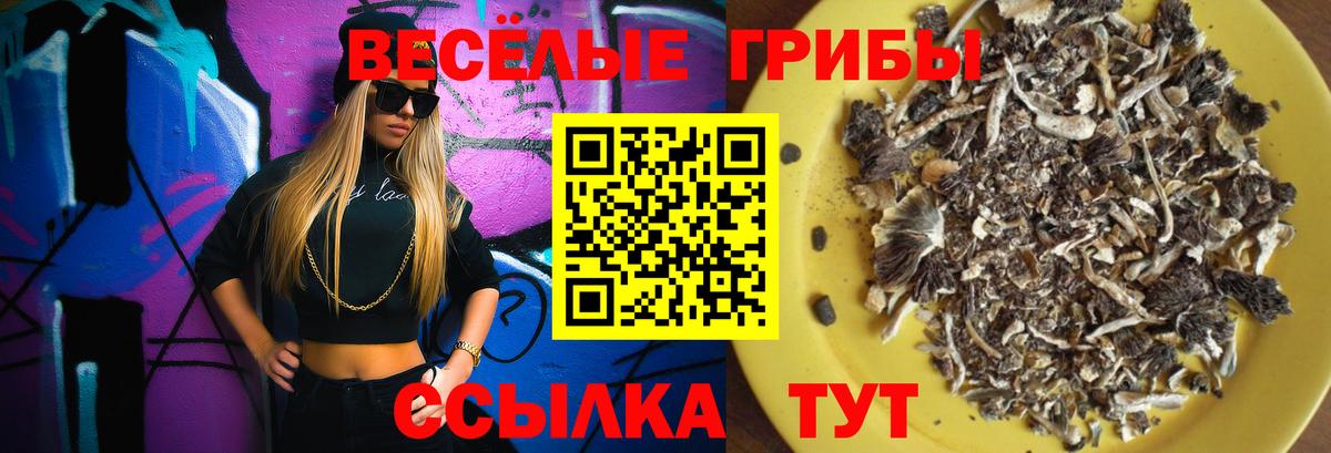 Семилуки  Псилоцибиновые грибы мухоморы  Вход с VPN 